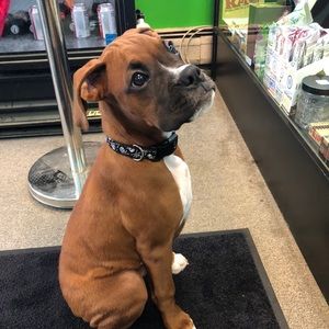 Meet your Posher, Scott